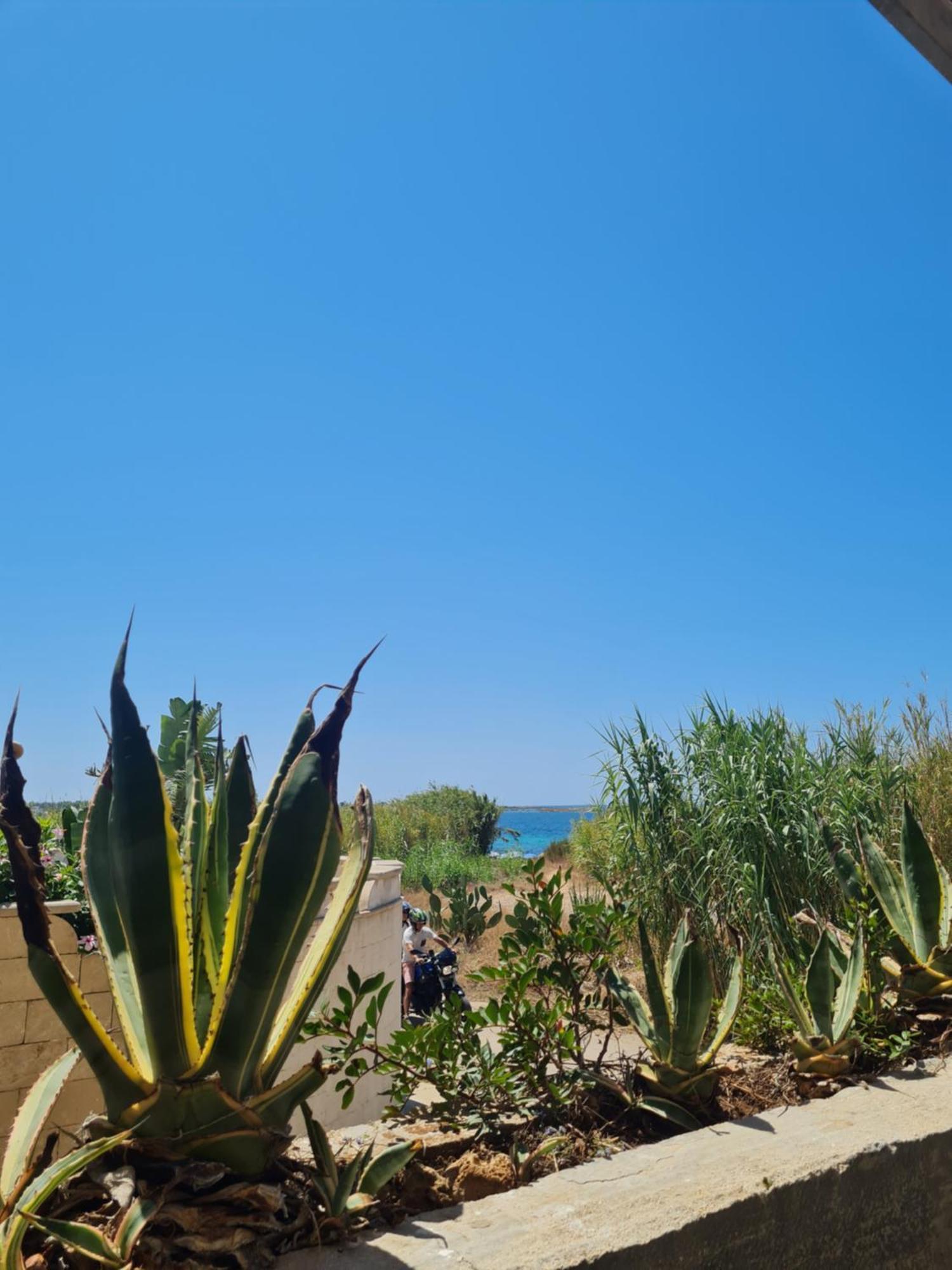 Stella Marina Villa Sant Isidoro  Exterior photo